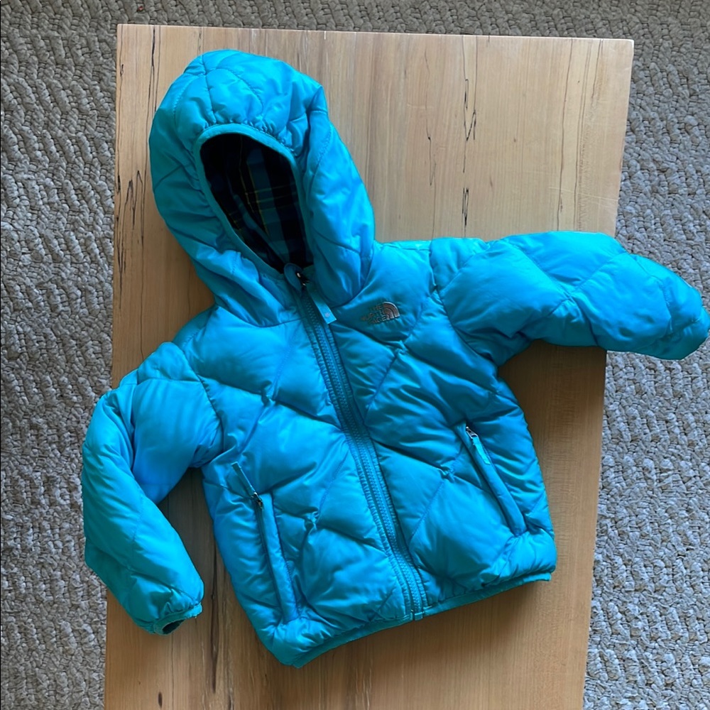 The North Face Blue Puffer Jacket